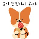 김천연합동물병원 이미지