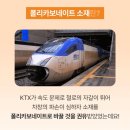 고고트래블 | ✨ 고고트래블 토부그 마들렌 그랑 캐리어 29인치 ✨