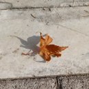 금천구청 앞 이미지