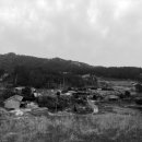 신안건축사사무소 이미지