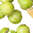 오늘은 뭘 먹지 건강밥상 이미지