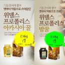 위델스프로폴리스