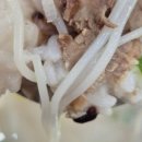 용담로117번길 이미지