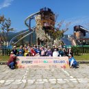 (사)경북장애인권익협회 영천시지회 이미지