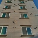 팔도부동산공인중개사사무소 이미지