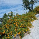 미란농장 이미지