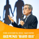 황금먹거리 이미지