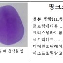 [약사가 전하는 동물약칼럼] 눈꼽끼는 강아지의 결막염시 동물약국에서 구입할 수 있는 응급약(점안제) 이미지