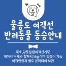 다온다투어 이미지