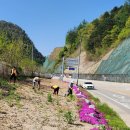 대한적십자사 강원특별자치도지사 서면봉사회 마을 가꾸기 이미지