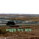 MTV공원 이미지