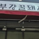 부강 꿀돼지 이미지