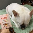 스푼풀코리아 이미지