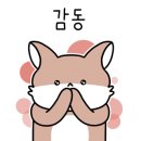 살구 스테이 이미지