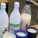 전주 송천동 막걸리 맛집_다가양조장