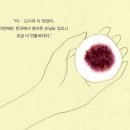 이산찐빵 이미지