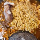 바다를 품은 돼지 이미지