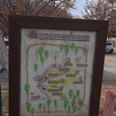 용인자연숲캠핑장 | 용인단풍숲캠핑장 솔캠 후기 – 강아지와 함께한 힐링 캠핑