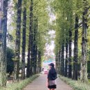 메타세쿼이어길 화장실 | 전라남도 나주 산책하기 좋은 곳 빛가람치유의숲 추천합니다(ft. 메타세콰이어길 힐링)