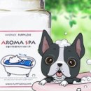 셀프 강아지 목욕탕 이미지