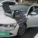 통진차유리 이미지