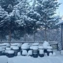 철원농장 이미지