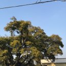 푸레 | 제주도 자쿠지 펜션 푸레 솔직 후기! 제주도 펜션 추천, 독채 펜션 추천, 실내 자쿠지, 감성 펜션...