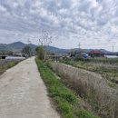 외리로-1 네이버블로그