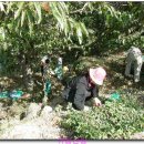 섬진농장 이미지