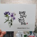 달빛노을캘리그라피디자인 이미지