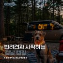 진영카부분정비 | 경남애견캠핑장 초보도 쉬운 1박2일 코스