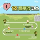 남포동 걸었는데 쓰레기봉투만 점점 무거워짐 | 봉사인더시티 플로깅 후기