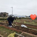 시영농장 이미지