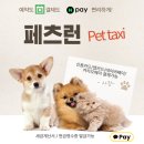 펫택시 이미지