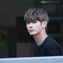 애쉬그레이 이미지