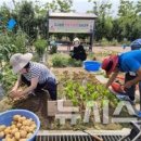 조경기능사 자격과정(이론) 이미지