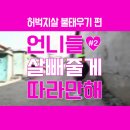 언니살빼