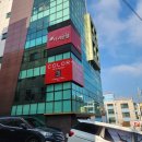 [컬러플레이스] 퍼스널 컬러 진단 후기... 아바라는 웜톤인가 쿨톤인가