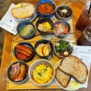 알콩달콩 애견샵 | 2025년 벼락치기 일상 모음(여름 편)