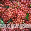 장생사슴농장 이미지