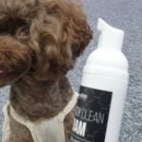 덕분에 행복하개 이미지