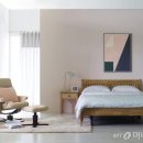 메이플라워 이미지