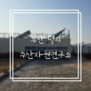 수산자원연구소 휴게동 | [부산 명지] 부산 명지 아이랑 수산자원연구소 체험장