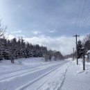 패턴 여행영어 기초 | 기초일본어 앱 스피킹맥스 돈버는일본어 일본 자유여행 위해 나도 도전!