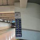 익투스디테일링 이미지