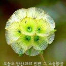 힘내시게 이미지