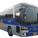 새천년여행사