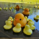 태산기기 | 30살 모은 돈 30살 1억 모으기 솔직후기 (어떻게 모았나)