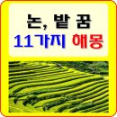 논과밭