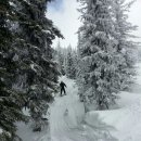 친구야 놀자 이미지